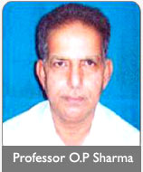 Professor O.P Sharma (Principal)